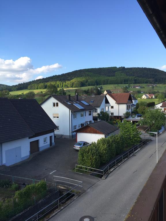 Hotel Garni Schmieder'S Ochsen Seelbach  Extérieur photo