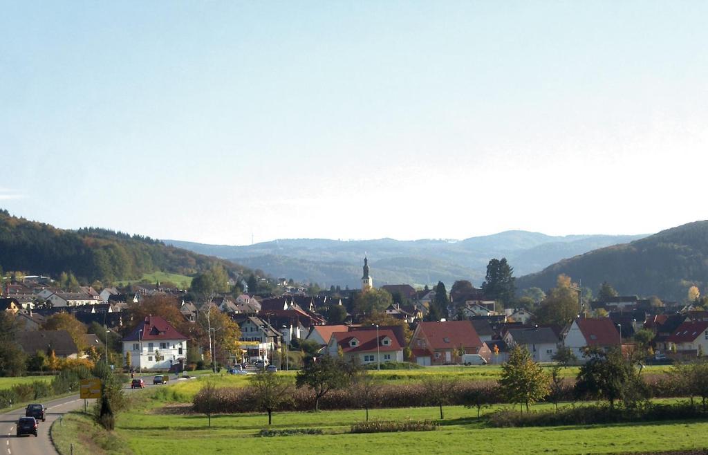 Hotel Garni Schmieder'S Ochsen Seelbach  Extérieur photo